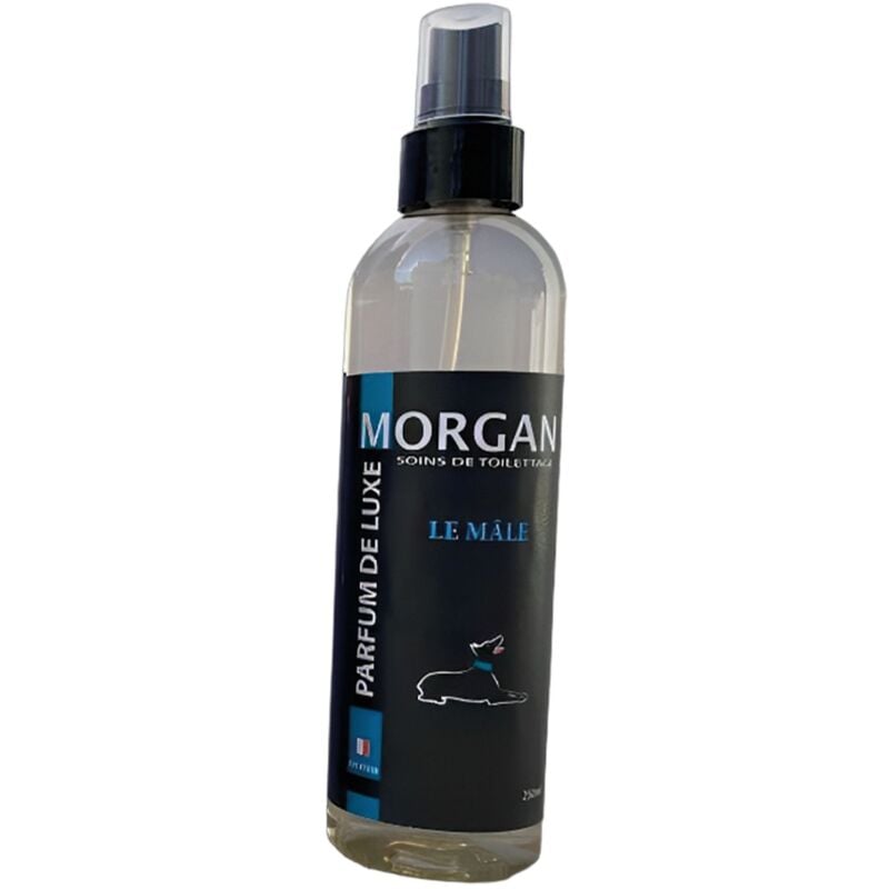 Parfum Morgan Le Mâle : 250ml