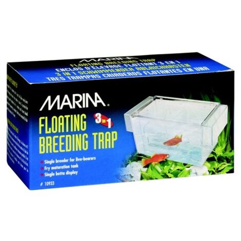 Paridera para peces con divisores Marina