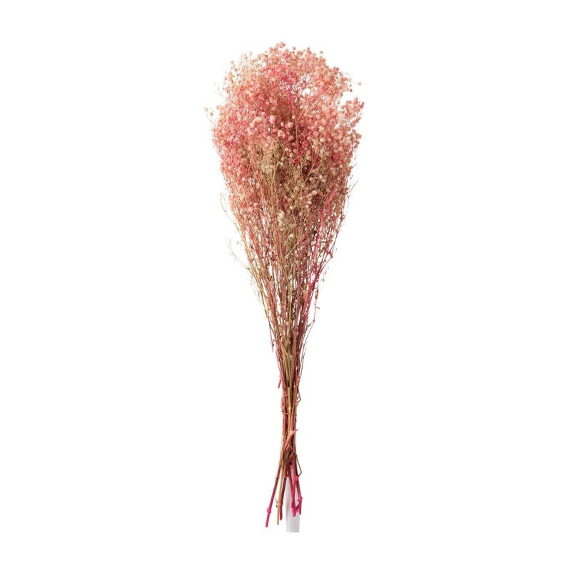 Bouquet de Fleurs "Gypsophile Séché" 84cm Rose