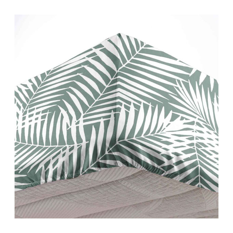 Drap Housse en Coton 'Botania' 140x190cm Sauge Drap Housse en Coton 'Botania' 140x190cm Sauge