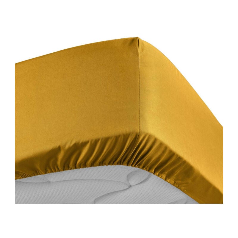 Paris Prix - Drap Housse 'Percaline' 180x200cm Curry