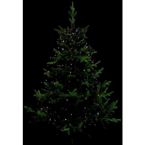 Paris Prix - Guirlande Lumineuse Extérieur robe 220cm Blanc Froid