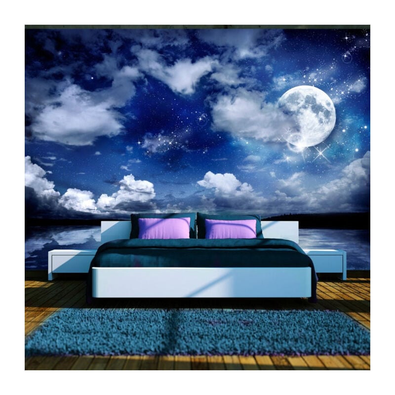Papier Peint 'Nuit Magique' 245 x 350 cm
