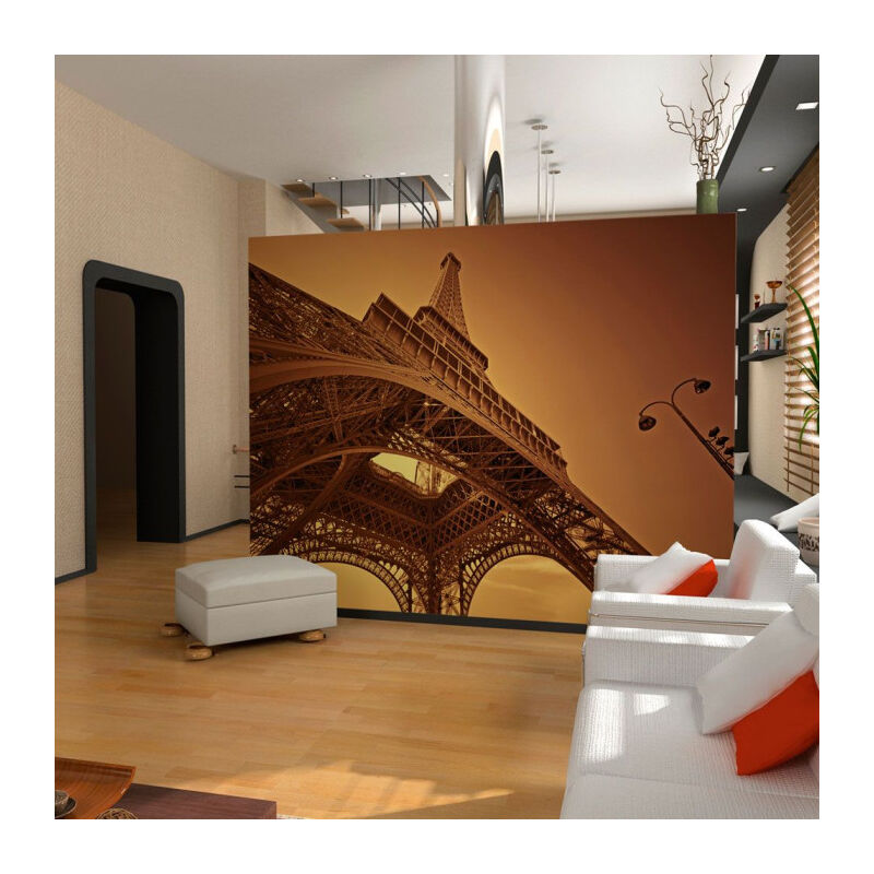 Papier Peint 'Puissance de Paris' 270 x 350 cm