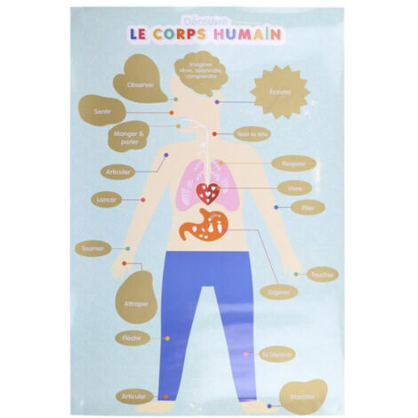 Paris Prix – Poster à gratter pour enfant thème corps humain 60cm – Papier bleu – Outil éducatif pour éveiller la curiosité des enfants