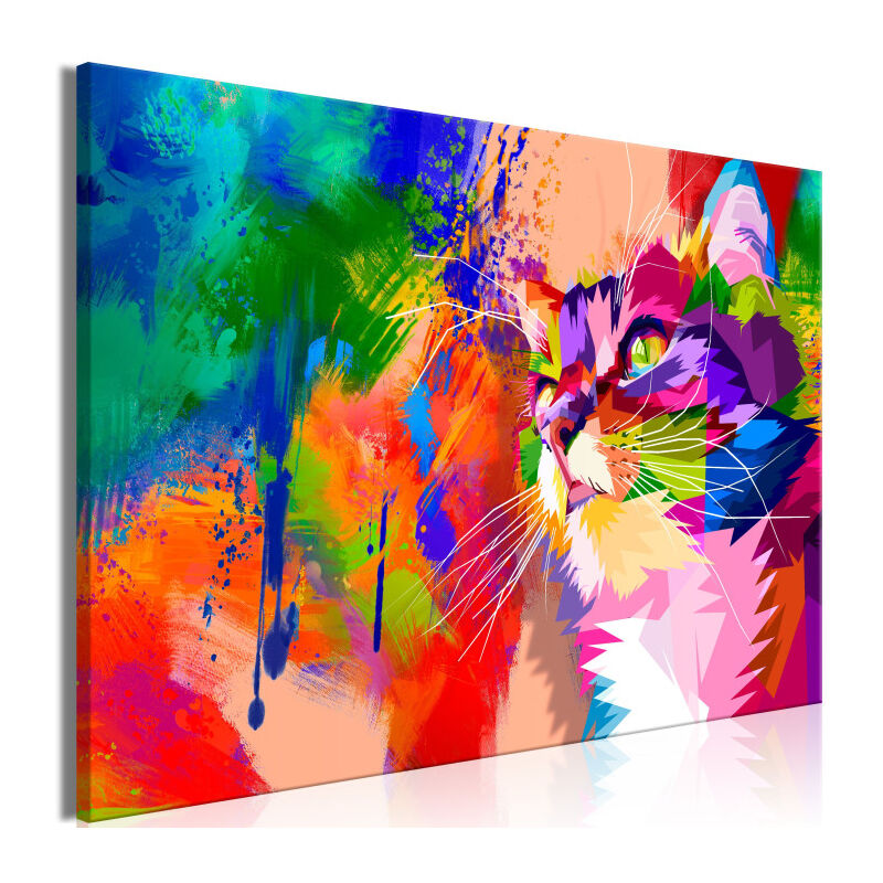 Tableau Imprimé 'Colourful Cat Wide' 80 x 120 cm