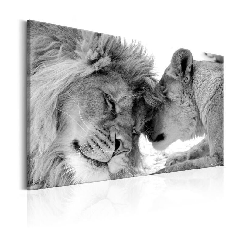 Tableau Imprimé "Lion's Love" 80 x 120 cm