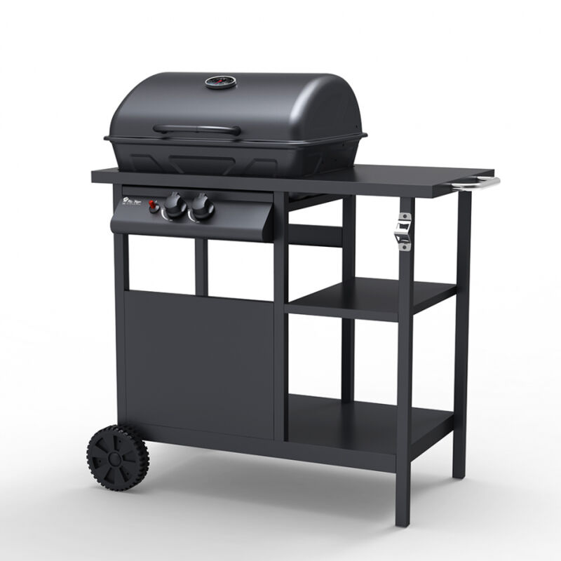 

Parrilla barbacoa gas acero inoxidable 2 quemadores Bagnét Verd