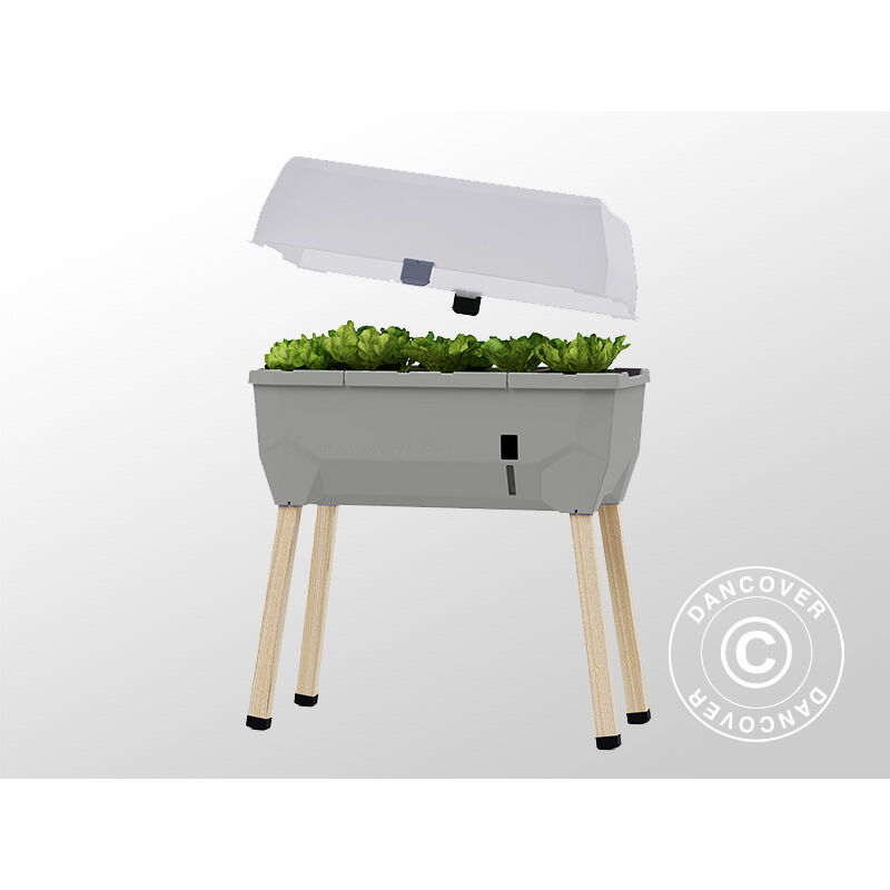 Dancover - Parterre de fleurs surélevé, sammy salad, avec couvercle et