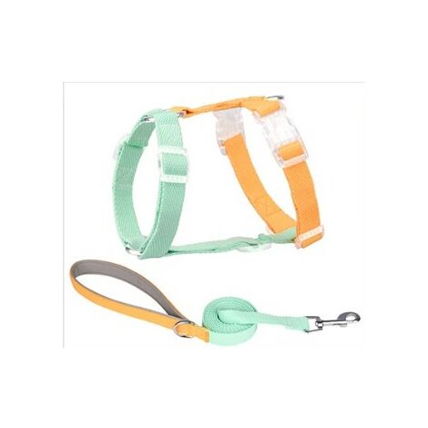 Parure NY Arcobaleno Pettorina + Guinzaglio Imbottito S
