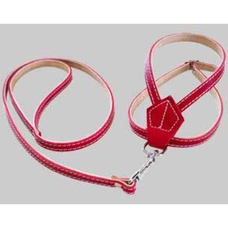 Parure per cani 10x500 mm
