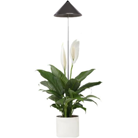 Parus by Venso SUNLiTE 7W LED Pflanzenlampe, grau