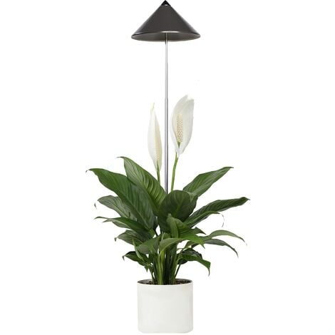 UNBRANDED Parus by Venso SUNLiTE 7W LED Vollspektrum Pflanzenlampe Grau, Indoor Plants Pflanzen Beleuchtung, mit ausziehbarem Teleskopstab, Parus Pflanzenlampe für kleine und mittelgroße Zimmerpflanzen