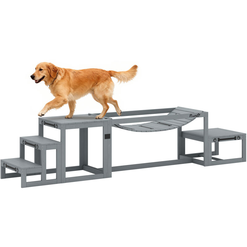 Équipements d'entraînement agilité pour chien - PawHut - 3 pièces pont souple plateforme de pause escalier inclus - gris