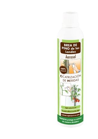 Pasta cicatrizante aerosol pino noruega 300 ml