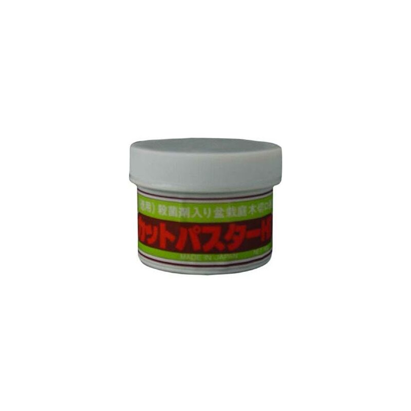 

Pasta Selladora Tarro 160 gr.
