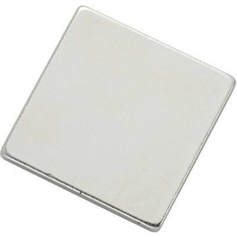 Pastille magnétique TRU COMPONENTS N35-202002 1564098 argent (L x l) 20 mm x 20 mm 1 pc(s) S817061