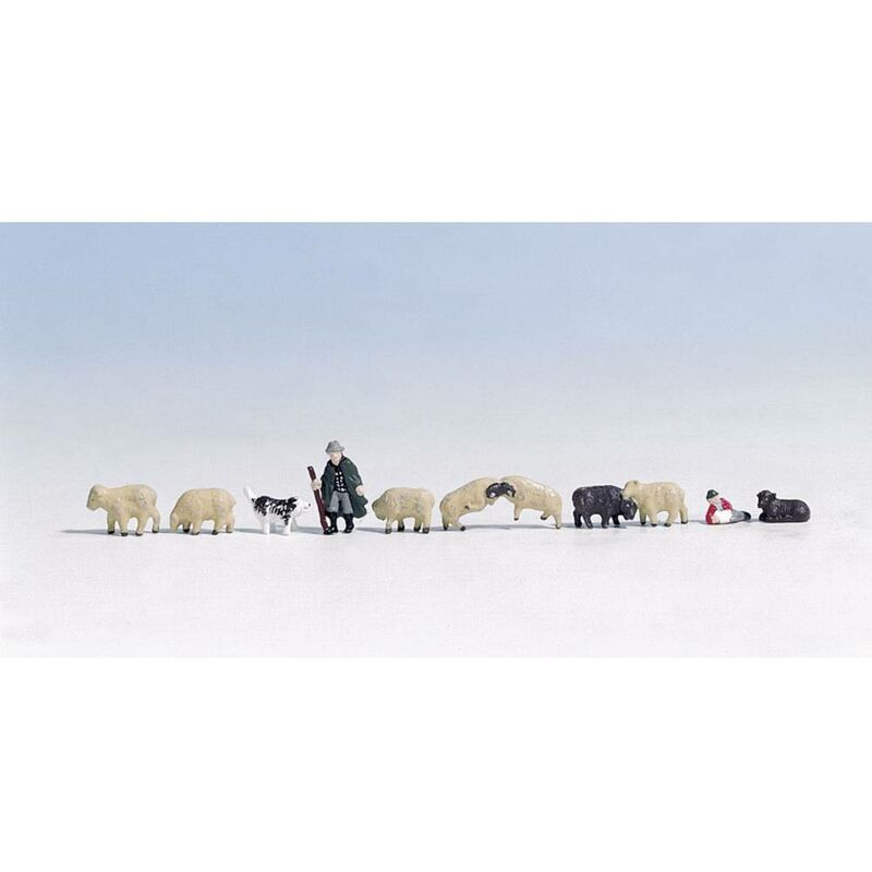Una immagine
