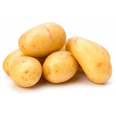 CULTIVOMIHUERTO PATATAS DE SIEMBRA FABULA 5 KG CAL 55-65 GRANEL - PATATA PIEL AMARILLA