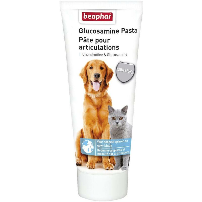 Pâte pour articulations, chondroïtine et glucosamine - 250g