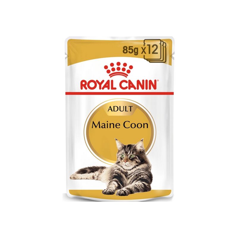 Royal Canin Chat Maine Coon Adulte Nourriture, 85 G 9003579001202