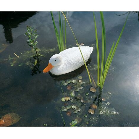 Finca casarejo estanque prefabricado verde para aves acuáticas