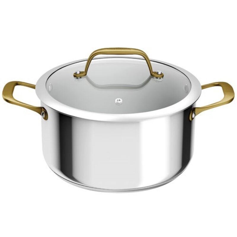 & Bocuse Faitout Inox 24 cm avec couvercle en verre H8244602