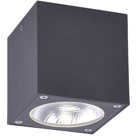 Paul Neuhaus 9674-13 Georg Außendeckenleuchte  LED  7 W  Anthrazit