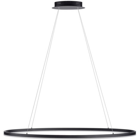 Paul Neuhaus Titus Lampada a sospensione da soffitto antracite 1x 57,5W LED 3000K dimmerabile