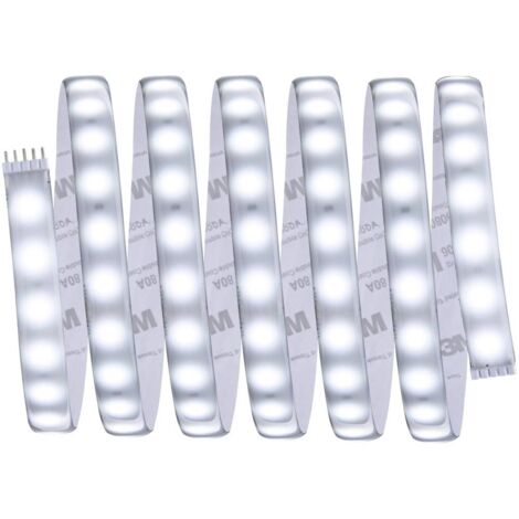 Paulmann 70548 Bande LED avec prise/prise 24 V 2.5 m blanc lumière du jour 2.5 m Y688932