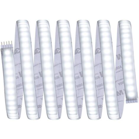 Paulmann 70553 extension bande LED avec prise 24 V 2.50 m blanc lumière du jour 2.5 m