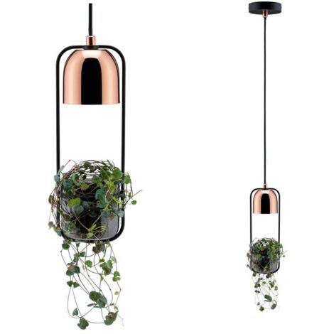 Paulmann 79749 Sospensione Fanja Lampada per Piante Max. 20 Watt lampadario Nero, Rame Metallo GU10