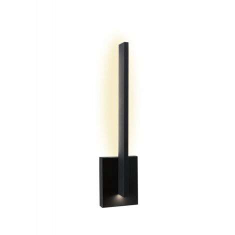 Paulmann Applique d'extérieur moderne anthracite 48.5 cm