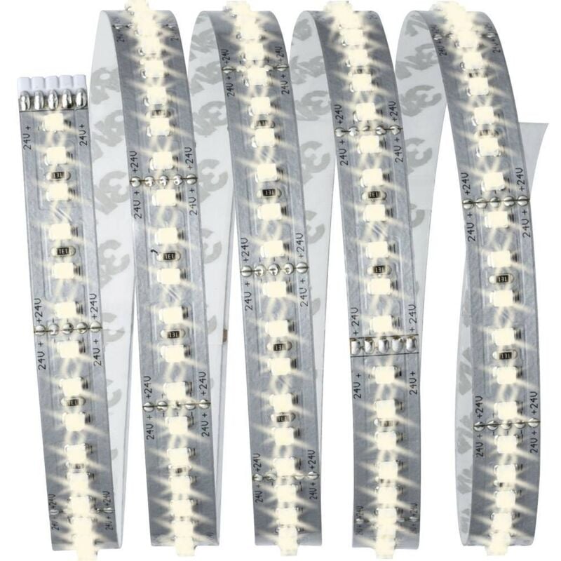 MaxLED 1000 70585 Ruban led (Base) avec connecteur mâle 24 v 1.5 m blanc chaud 1 pc(s) - Paulmann