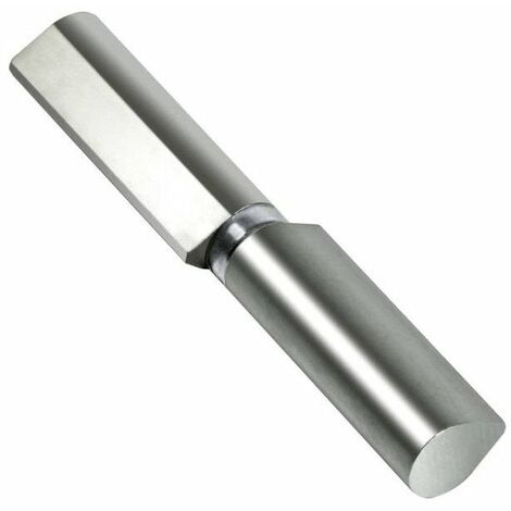 Paumelle A Goutte Avec Pivot En Acier Zingue Et Roulement F564 140mm