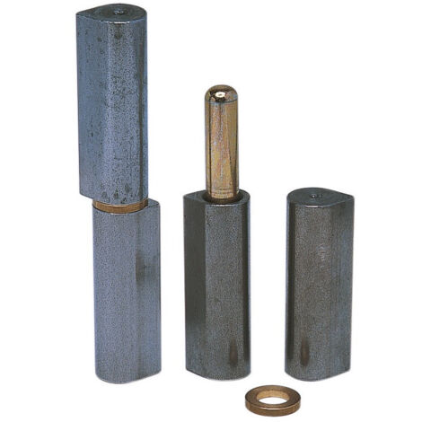 2 Charnières à Souder En Acier Gedotec - 40-200 Mm - Argent Mat - Neuf En Pack