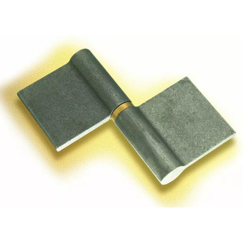 Torbel - Paumelle De Grille Profilee -100X55X5,1 - Brut