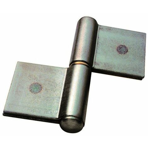 Paumelle Grille Lame Double Robustesse Et Fluidité - Générique