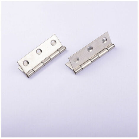Paumelles,Charnière Inox,20 pcs Charnière Meuble Charnière Porte Charnière Piano Pour La Maison Meubles Matériel Armoire Garde Porte Tiroir (vis non incluses)