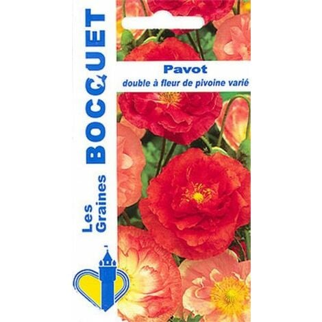 Pavot double à fleur de pivoine varié - 1,5g