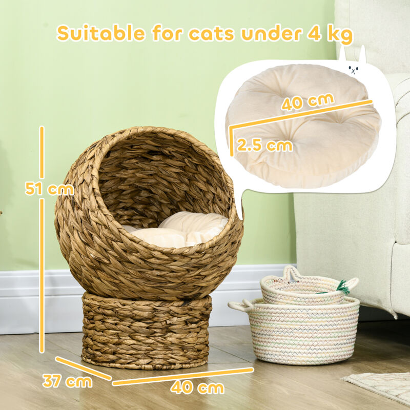 cat wicker bed