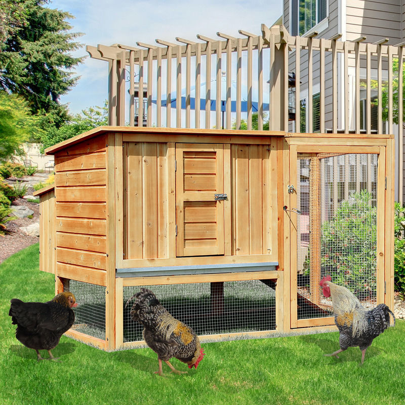 Wooden Chicken Coup