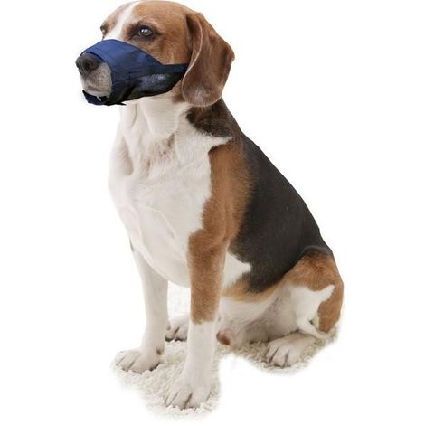 dog muzzle xs