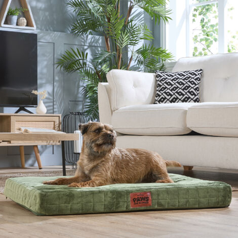 Paws for Slumber Orthopedic Pet Bed, Green, Medium