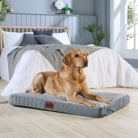 Paws for Slumber Orthopedic Pet Bed, Grey, Large