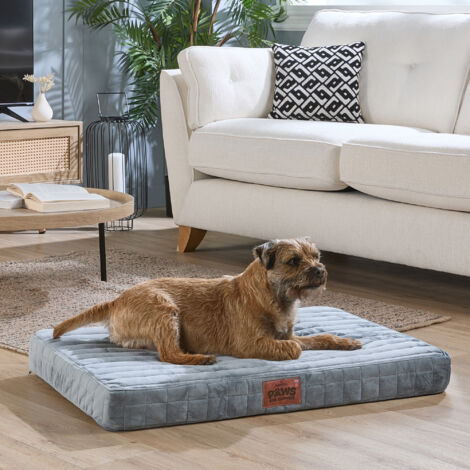 Paws for Slumber Orthopedic Pet Bed, Grey, Medium