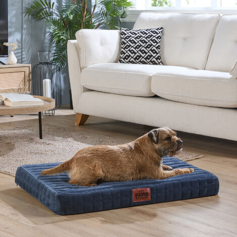Paws for Slumber Orthopedic Pet Bed, Navy, Medium
