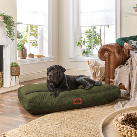 Paws for Slumber Padded Pet Bed, Green, Extra Large