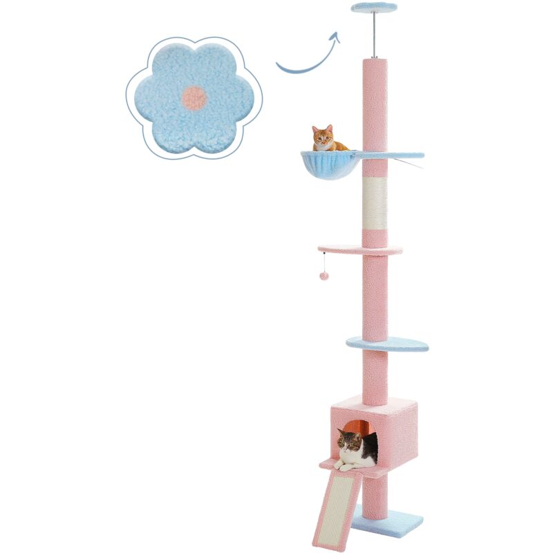 Arbre à Chat au Plafond avec Hamac & Condo & Ceinture Anti-Chute,Ajustable 216-273 cm, Bleu et Rose - Pawz Road