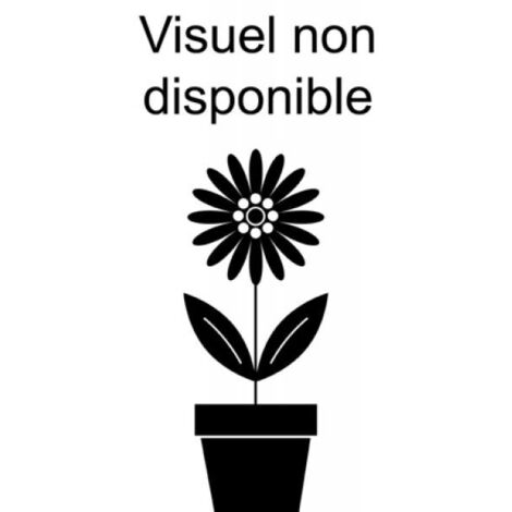 Pêcher 'Des Vignes blanche' Pot de 12L/15L, Demi-Tige